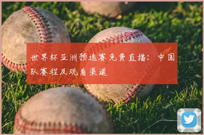 世界杯亚洲预选赛免费直播：中国队赛程及观看渠道