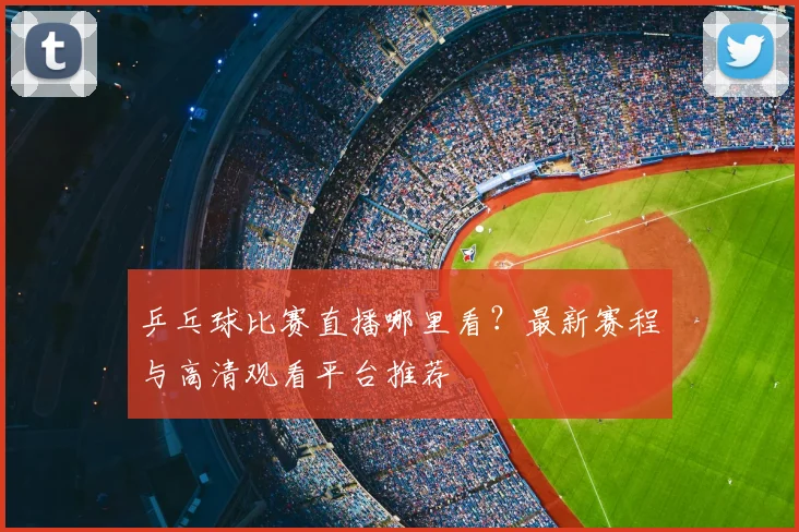 乒乓球比赛直播哪里看?最新赛程与高清观看平台推荐