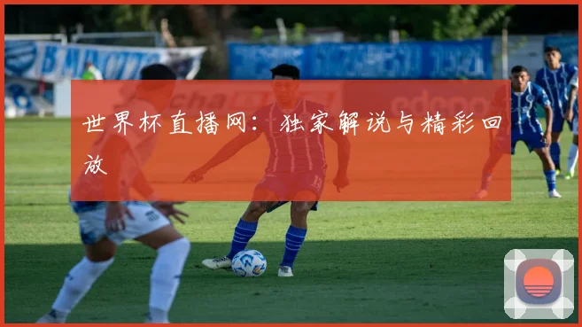 世界杯直播网：独家解说与精彩回放