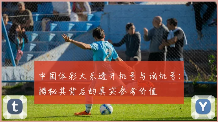 中国体彩大乐透开机号与试机号:揭秘其背后的真实参考价值