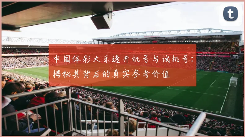 中国体彩大乐透开机号与试机号:揭秘其背后的真实参考价值